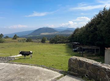 vista panorámica · Santo Tomás Ajusco, Rancho en Venta