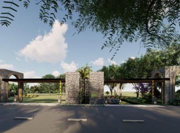 Terreno / Lote · 96000m² · Oportunidad Única, 9.6 Hectáreas a 12 Minutos de Valladolid ¡Ideal Para Desarrollo o Inversión!