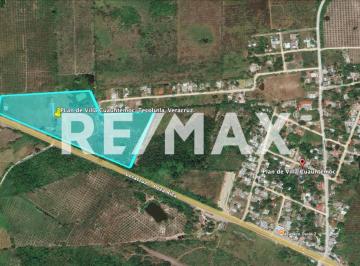 Rancho · 423m² · 5 Recámaras · Finca /rancho en Venta en Tecolutla, Veracruz - (4)