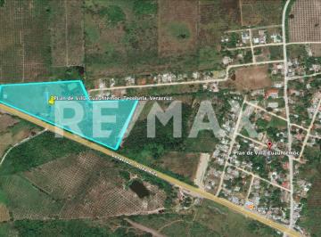 Rancho · 423m² · 5 Recámaras · Finca /rancho en Venta en Tecolutla, Veracruz - (4)