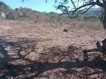 Terreno / Lote , Amacuzac · Terrenoen Amacuzac, Amacuzac, Morelos