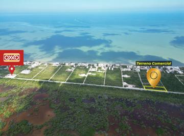 Terreno comercial , Dzemul · Terreno Comercial con 100 m Sobre Av, en Playa San Benito Km 23.