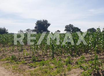 Terreno / Lote · 35642m² · Terreno en Venta en Cuapiaxtla, Estado de Tlaxcala - (4)