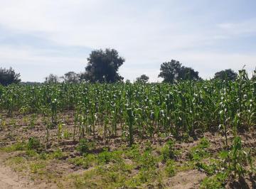 Terreno / Lote · 35642m² · Terreno en Venta en Cuapiaxtla, Estado de Tlaxcala - (4)