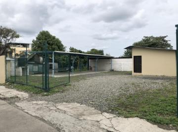 Terreno / Lote · 490m² · Terreno en Renta Calle Santos Degollado, Col. 5 de Mayo Vieja, Poza Rica, Veracruz