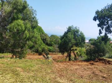 Terreno / Lote · 6540m² · Terreno Escriturado en Venta en Cuernavaca, Zona Norte