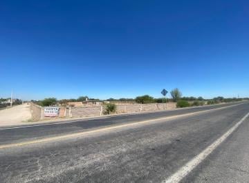 Terreno / Lote · 133m² · 2 Recámaras · Quinta con Potencial Estratégico y Amplia Extensión - (4)