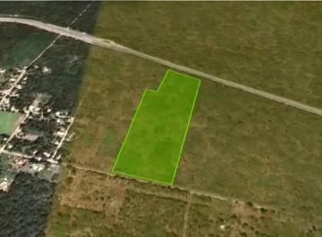 Terreno / Lote , Seyé · Excelente Terrenos Sobre La Carretera Mérida - Cancún