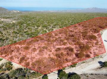 Terreno / Lote · 2ha · Se Vende Terreno 2.25 Ha en Matancitas, Camino a La Candelaraia La Paz Bcs.