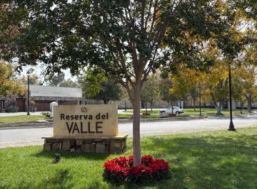 Terreno / Lote , Saltillo · Terreno Peña Alta