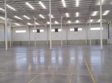 Nave industrial , Silao · Nave Industrial 7894 m² en Renta, Parque Industrial Puerto Interior