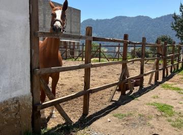 Rancho , Zacatlán · Venta de Rancho en Zacatlan (Tomatlan)