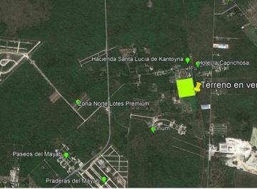 Terreno / Lote , Conkal · Terreno en Venta Mérida, Al Norte Junto a Hacienda Kantoyná