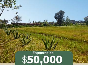 Terreno / Lote · 500m² - Vianey Sarty · Terreno de 500 m² en Venta, Rancho Ojo de Agua