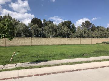 Terreno / Lote · 486m² · Terreno en Venta en Fracc. El Mayorazgo