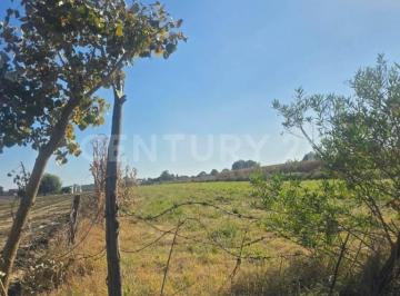 Terreno / Lote · 3336m² · Venta de Terreno en Puebla, San Fco. Tepeyacac, Texmelucan.
