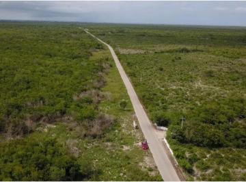Aguazul · Terreno en Chabihau, Yucatán - Aguazul
