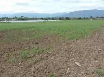 ff13d5b4a7446ea39835b29d56dcf68ee08435e8539d37b3b9769922c9545e20 · Venta Terreno Allende N L