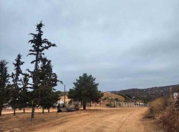 24b146c6e4aad90eb420e3db6595a55f9b61add6914c208067f9bbd19aa61e8c · Terreno en Venta en El Valle de Guadalupe Baja California Terrenos