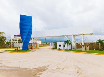 Terreno / Lote , Paraíso · Terreno en Renta en Petropark I F - 991