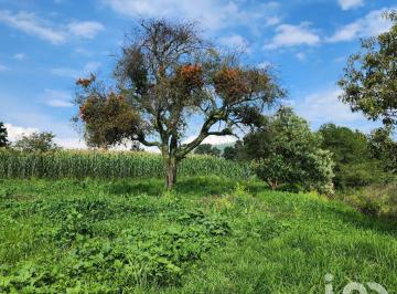 Terreno / Lote · 5657m² · Terreno en Venta en Zoyatzingo, Amecameca, Edo de Mex