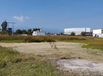 Terreno / Lote , Cuernavaca · Se Vende Terreno en Ejidos de Acapatzingo