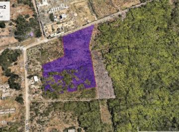 Terreno / Lote · 7914m² · Terreno de 7914 m² Ideal Para Desarrollar en Sta Gertrudis Copo