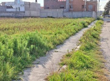 Terreno / Lote · 4643m² · Venta, Terreno, Zimbrones, Zinacantepec