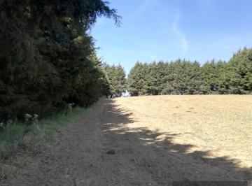 Terreno / Lote · 11285m² · 1 Recámara · Terreno en Venta en Xalatlaxo - (4)