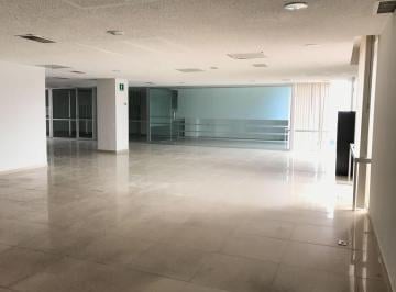 Oficina · 207m² · 2 Estacionamientos · Oficinas en Renta Leibnitz - (4)