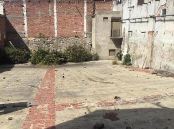 Terreno / Lote · 600m² · Terreno en Renta - (4)