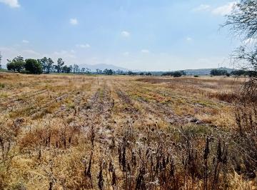 Terreno / Lote , Tequisquiapan · Terreno Ejidal 5 Hectáreas, Venta, Tequisquiapan, Qro.
