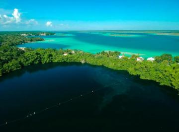 Terreno / Lote · 20000m² · Lotes en Venta Frente Al Cenote Azul