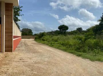 Terreno / Lote , Mérida · Terreno de 5 Has en Temozon Norte.