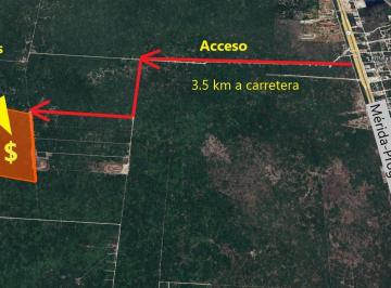 Terreno / Lote · 359438m² · Terreno Uso Mixto Cercano a Ruta de Tren Maya Hacia Progreso en Paraíso Yucatán - (4)