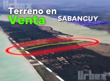 Terreno / Lote · 48102m² · Terreno en Venta de 4.5 Hectáreas en La Playa de Sabancuy, Campeche.