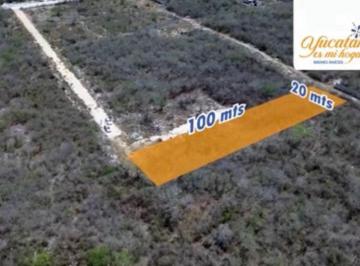 Terreno / Lote , Mérida · Terreno en Venta Dzitya | Mejor Precio de La Zona