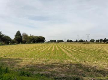 Terreno industrial , Celaya · Terreno Industrial, Comercial, Agricola Vta. especial Desarro Campestres