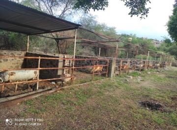 Terreno / Lote de 2 habitaciones, Tlaltizapán de Zapata · Rancho en Venta en Temilpa Nuevo Tlaltizapán Morelos