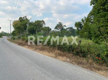 Terreno / Lote · 25050m² · Terreno en Venta en Buenavista 2da Sección - (4)
