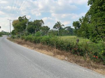 Terreno / Lote · 25050m² · Terreno en Venta en Buenavista 2da Sección - (4)