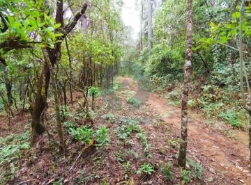 Terreno / Lote · 5000m² · Lotes de 5000 m con Río en Cerro Gordo, Avándaro