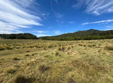 Terreno / Lote · 12268m² · Terreno en Venta - (4)