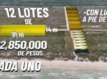 Terreno / Lote · 434m² · Lotes en Venta con Club de Playa en Sisal