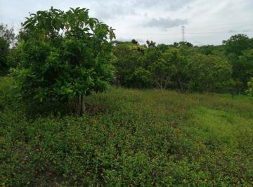 Terreno / Lote , Tuxpan · Super Precio! 846 m² a 8 Min. Walmart