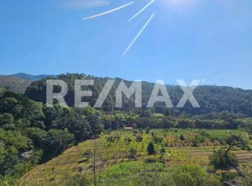 Terreno / Lote · 201746m² · Terreno en Venta - (4)