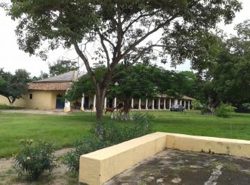 Rancho de 4 habitaciones, Cintalapa · Finca de 107 Hectáreas en Venta, en Cintalapa, Chiapas