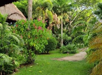 Quinta de 3 habitaciones, Mérida · Quinta con Hermosa Vegetación Para Disfrutar o Desarrollar