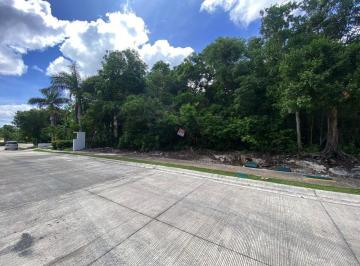 Terreno / Lote · Land in Tulum Country Club