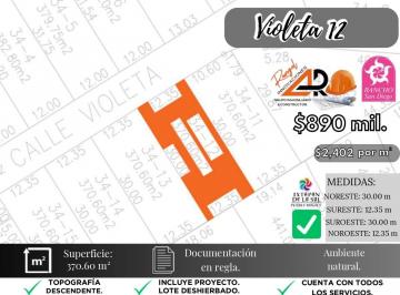 Terreno / Lote , Ixtapan de la Sal · Lote Violeta 34 - 12 Mza Xviii Fracc Rancho San Diego Ixtapan de La Sal Edomex